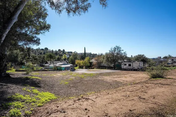 a view of a yard with a tree