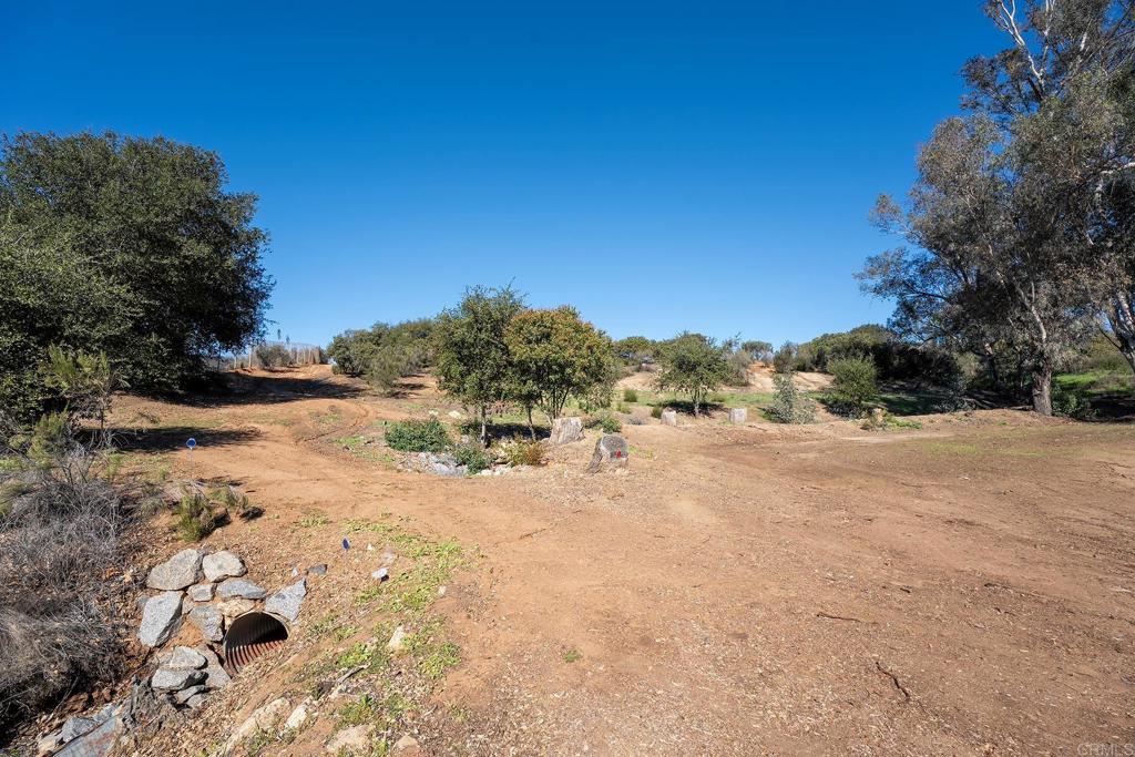 2560-66 Alpine Boulevard Alpine, CA 91901 - Photo 24 of 32 a view of a yard with a tree