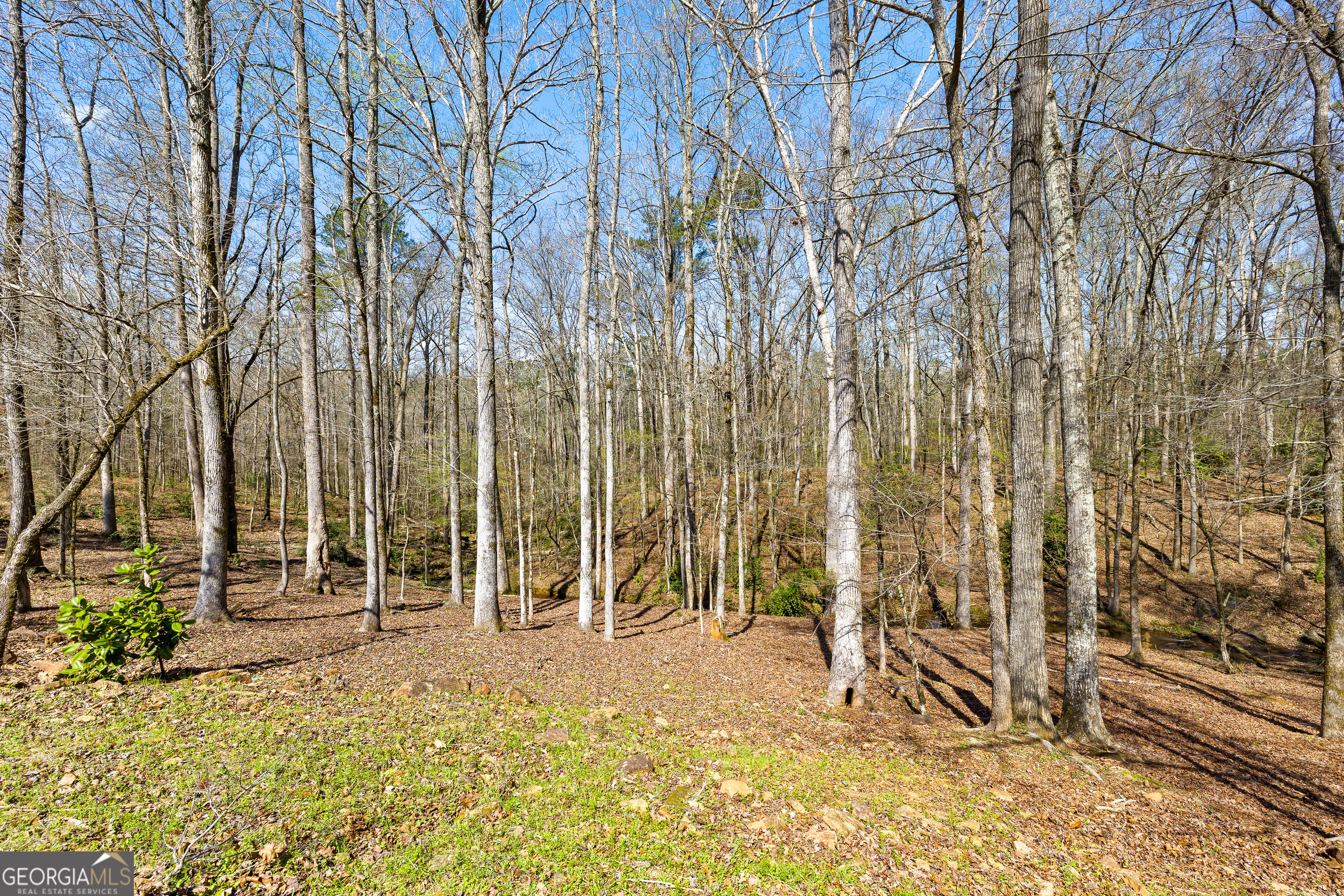 276 Davis Lake Road Thomaston, GA 30286 - Photo 103 of 108