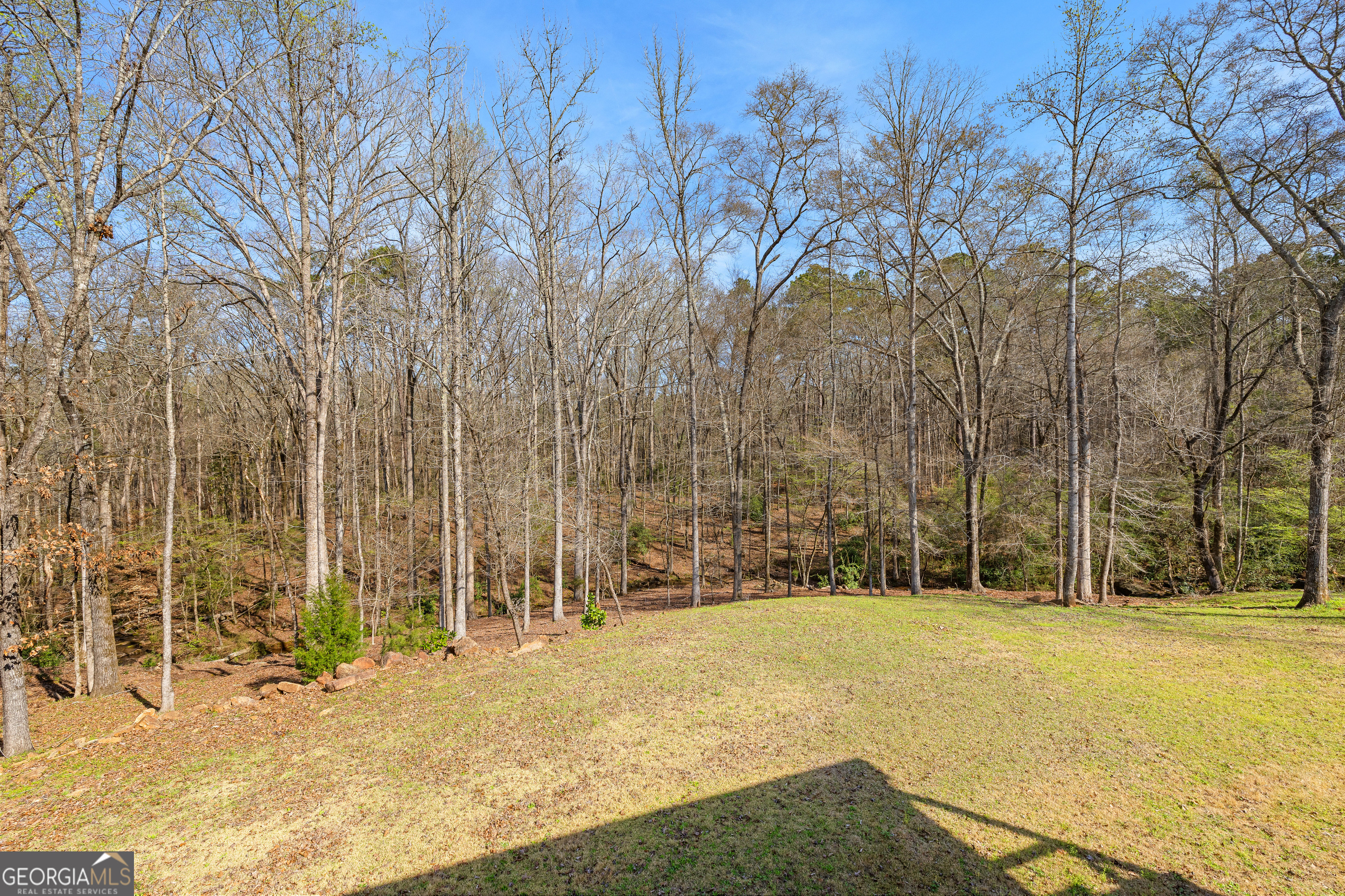 276 Davis Lake Road Thomaston, GA 30286 - Photo 92 of 108