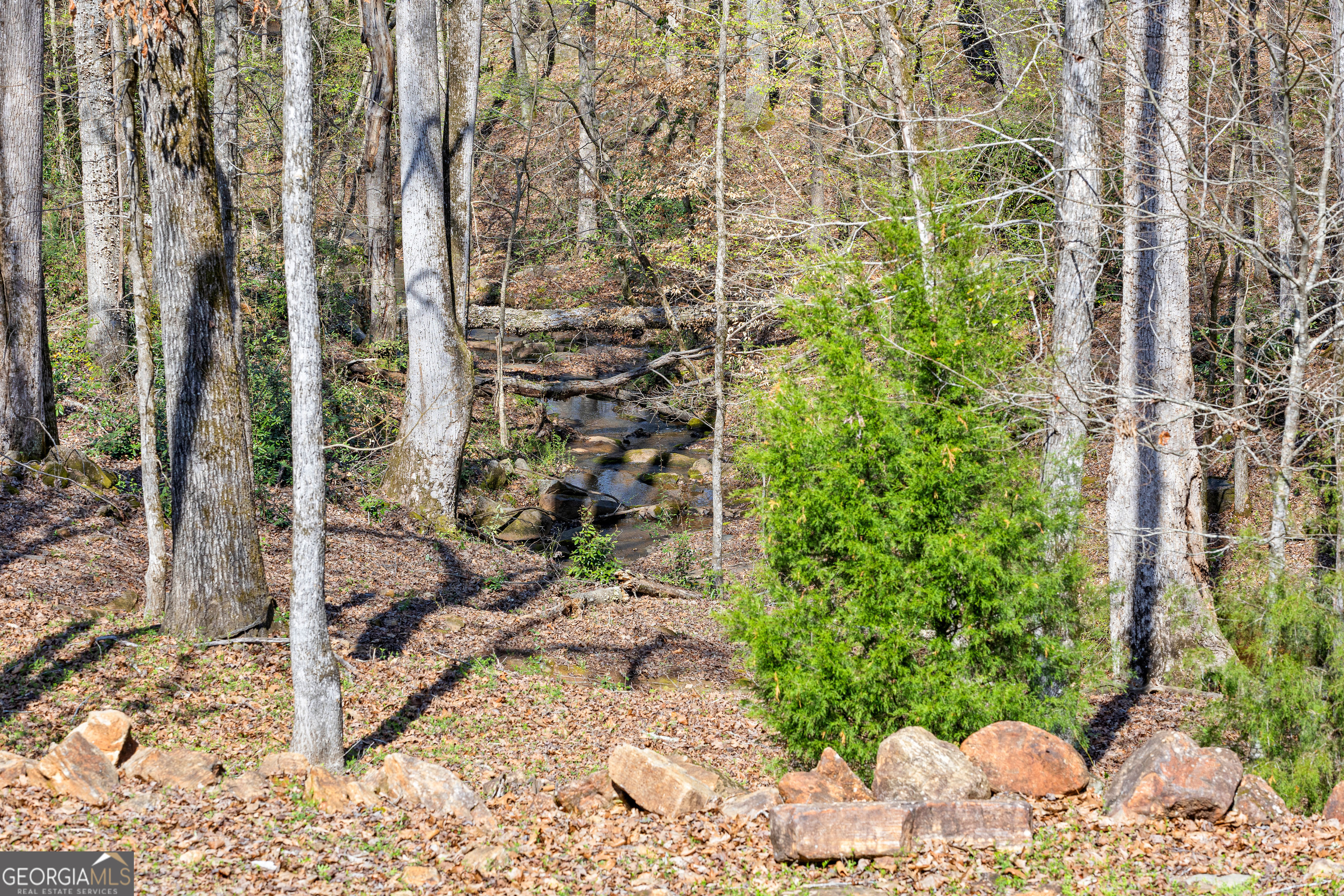 276 Davis Lake Road Thomaston, GA 30286 - Photo 97 of 108