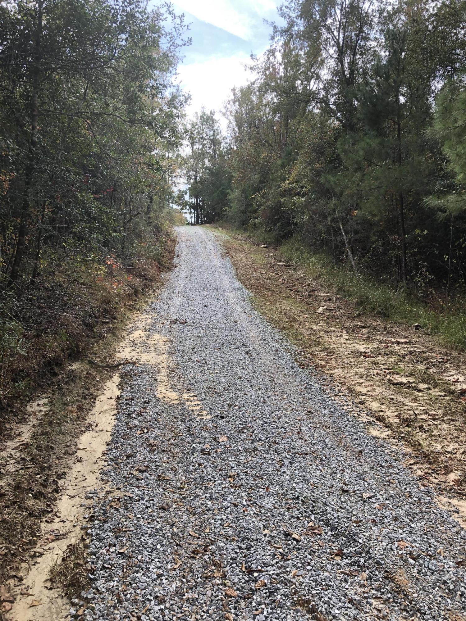 0 Backlin Road Lucedale, MS 39452 - Photo 4 of 9 Q9NL9AIRRqSvRgXPmIPF1g