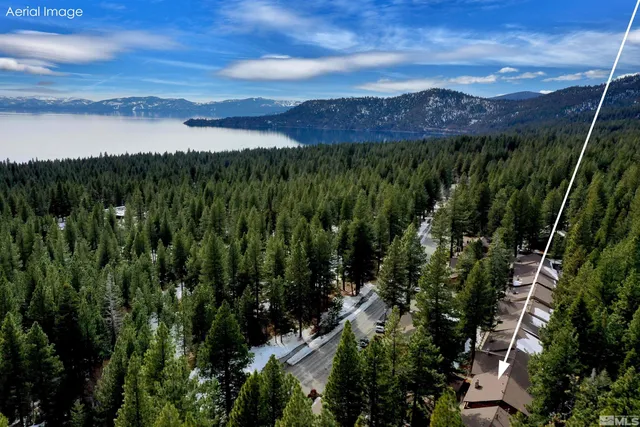 a view of a city with lush green forest