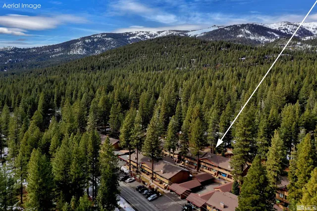 a view of a city with lush green forest