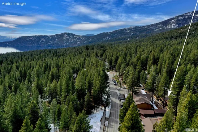 a view of a city with lush green forest