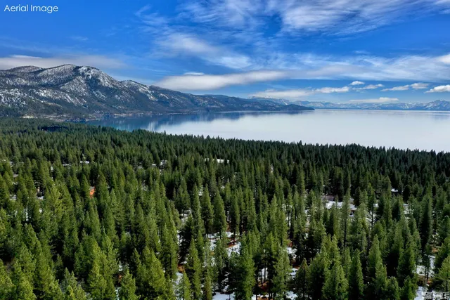 a view of a lush green yard
