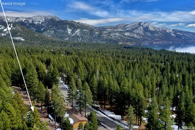 a view of a city with lush green forest