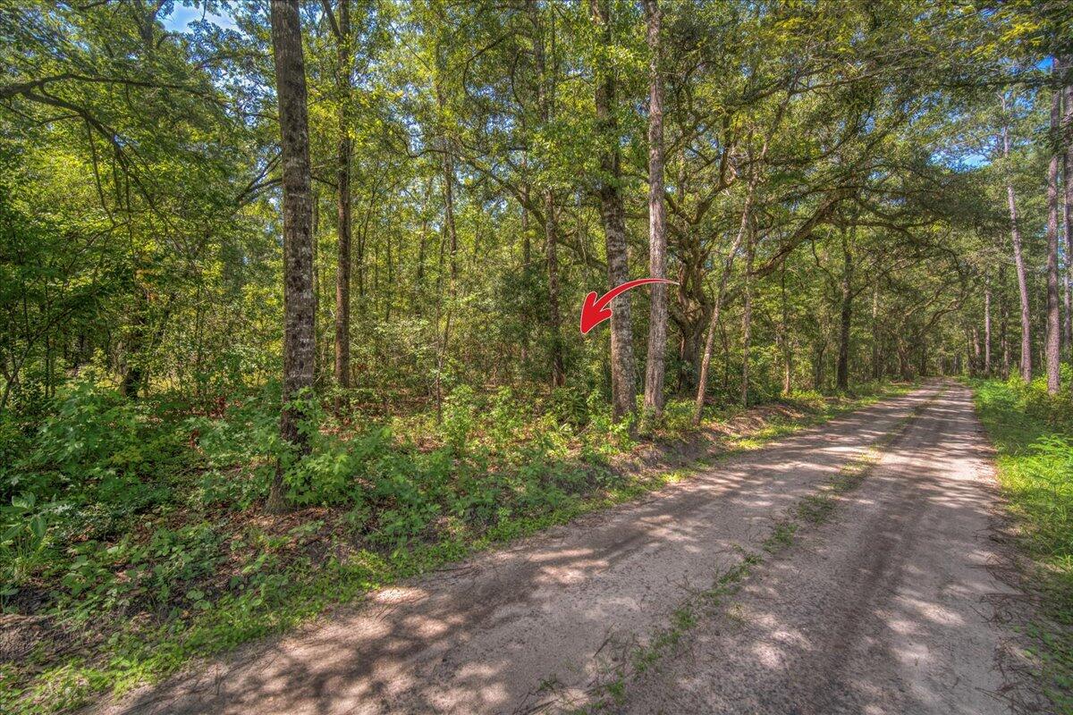 7799 Morris Bing Road Hollywood, SC 29449 - Photo 4 of 10 03-7799 Morris Bing Rd-1