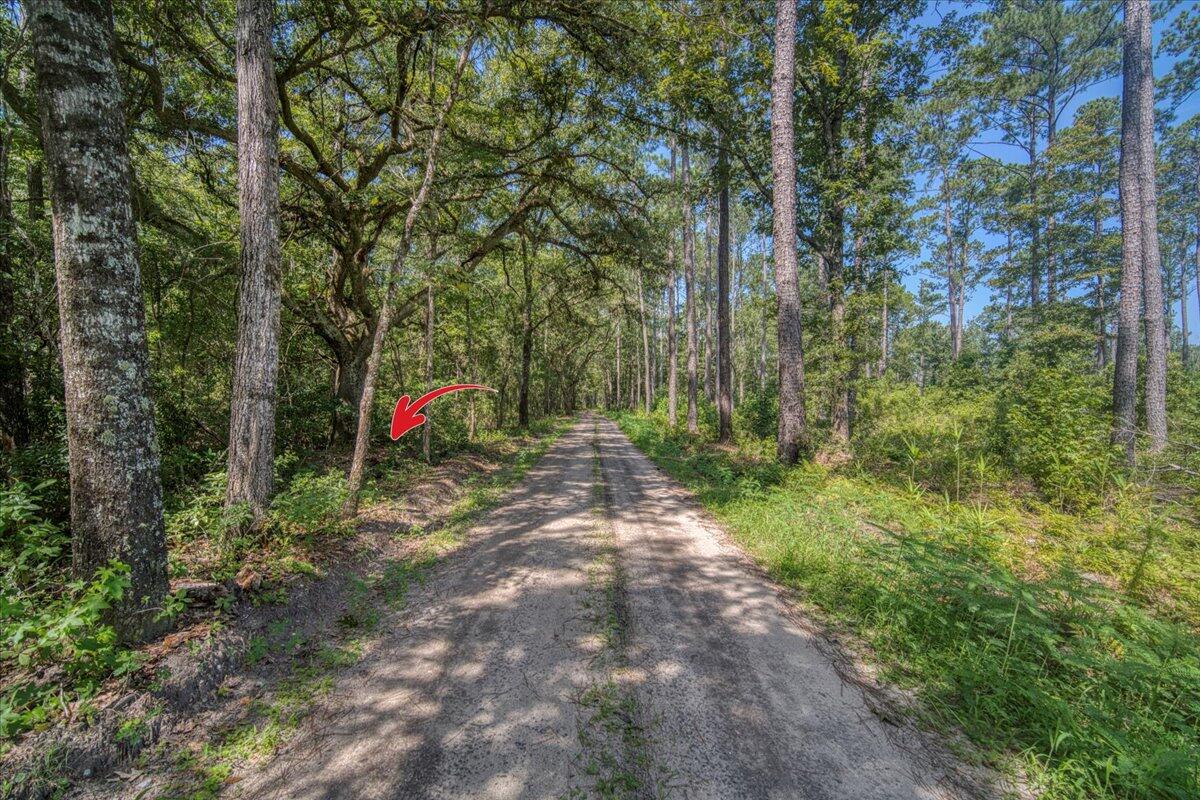7799 Morris Bing Road Hollywood, SC 29449 - Photo 5 of 10 05-7799 Morris Bing Rd-3