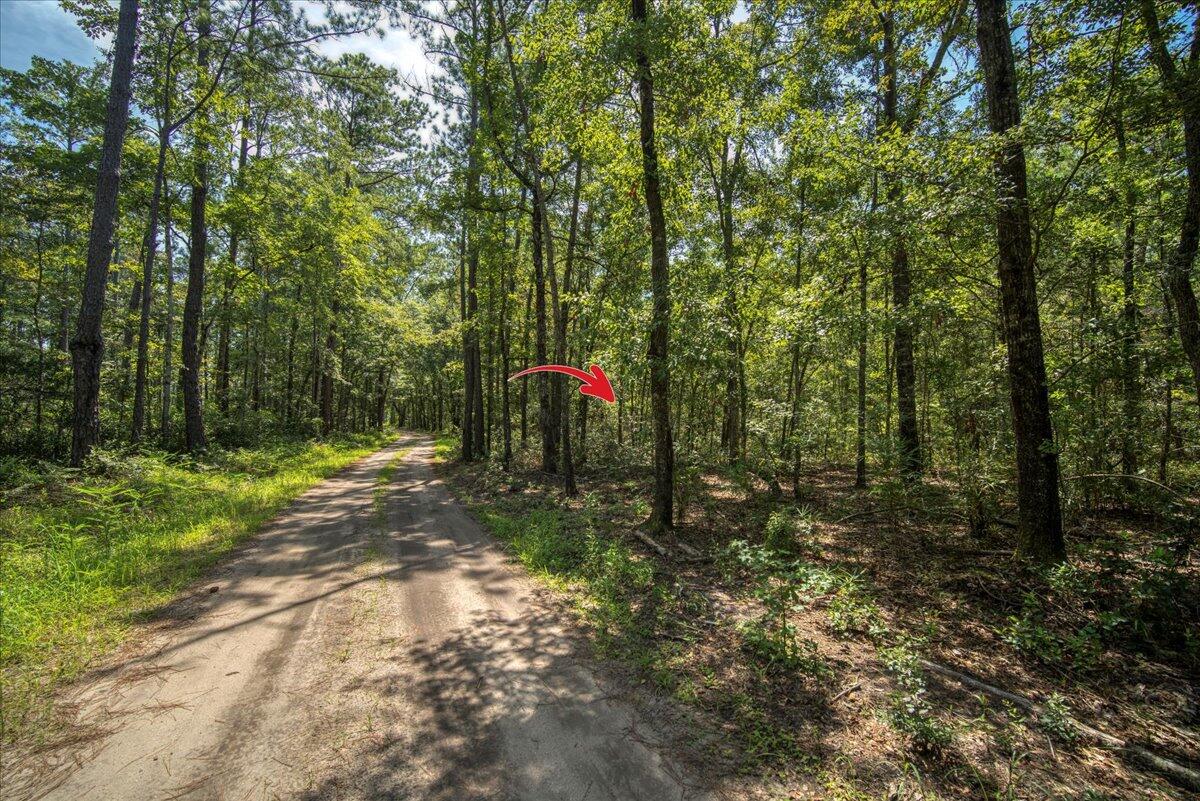 7799 Morris Bing Road Hollywood, SC 29449 - Photo 6 of 10 06-7799 Morris Bing Rd-4