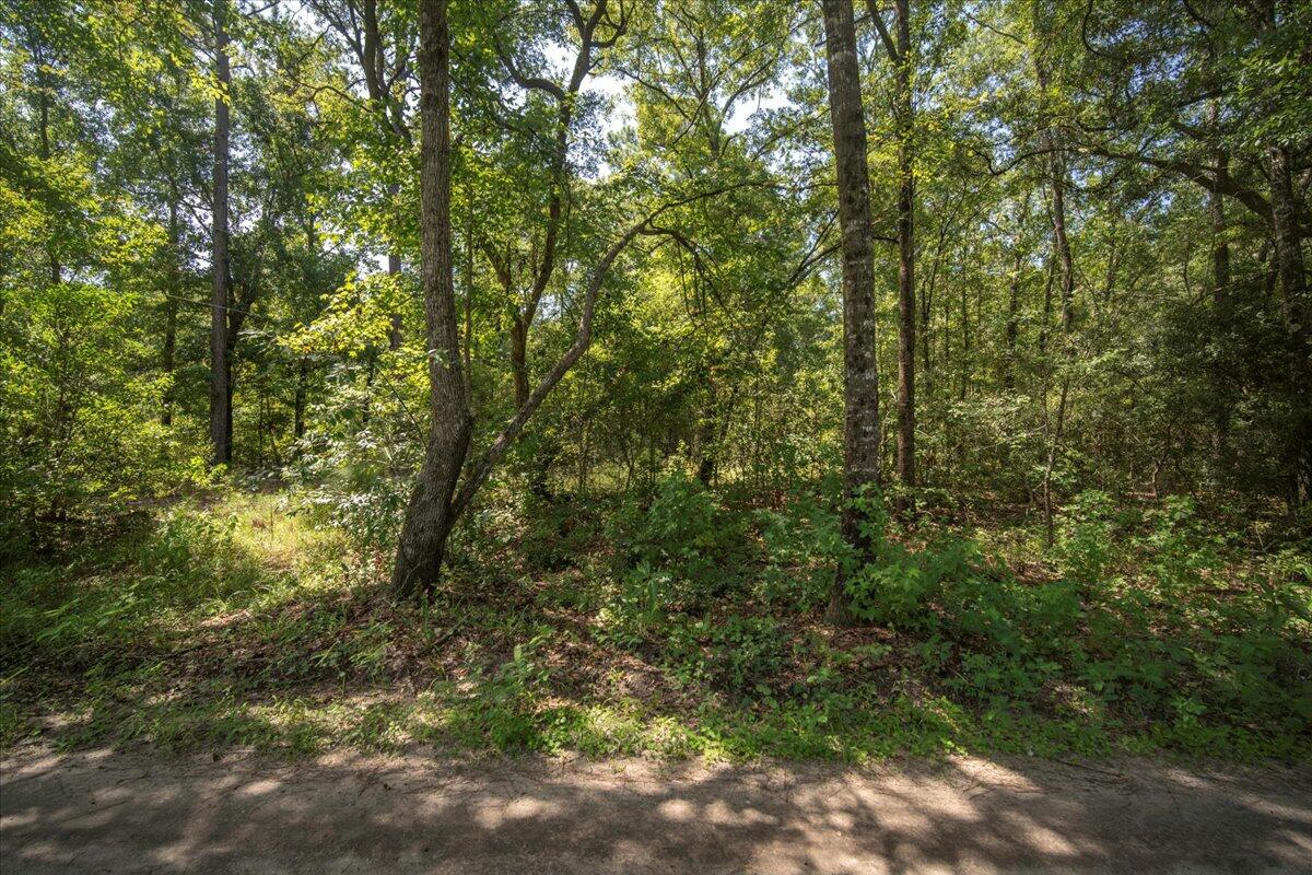 7799 Morris Bing Road Hollywood, SC 29449 - Photo 7 of 10 04-7799 Morris Bing Rd-2