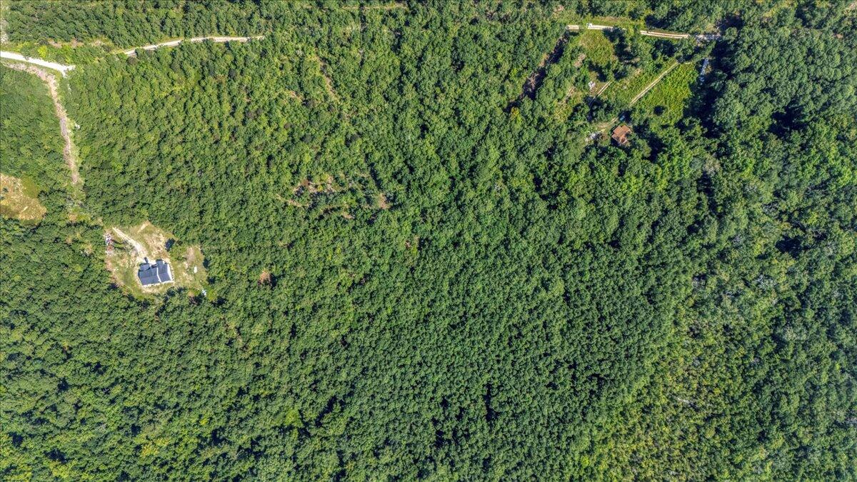 7799 Morris Bing Road Hollywood, SC 29449 - Photo 8 of 10 01-7799 Morris Bing Rd-6