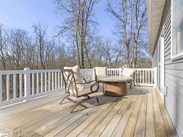 4850 Tunbridge Hill Road Clinton, IL 61727 - Photo 11 of 27