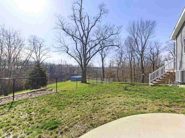 4850 Tunbridge Hill Road Clinton, IL 61727 - Photo 16 of 27