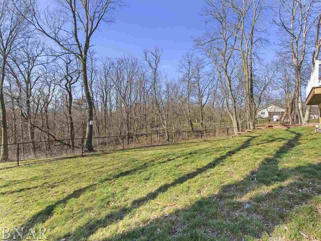 4850 Tunbridge Hill Road Clinton, IL 61727 - Photo 17 of 27