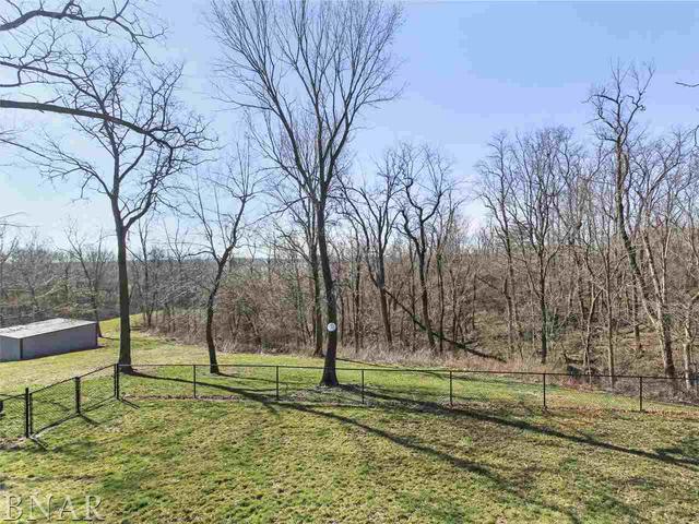 4850 Tunbridge Hill Road Clinton, IL 61727 - Photo 18 of 27