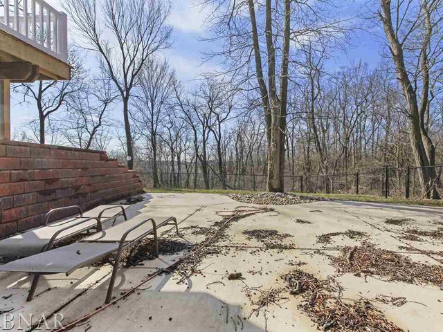 4850 Tunbridge Hill Road Clinton, IL 61727 - Photo 27 of 27