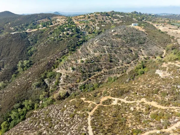 an aerial view of houses covered in trees