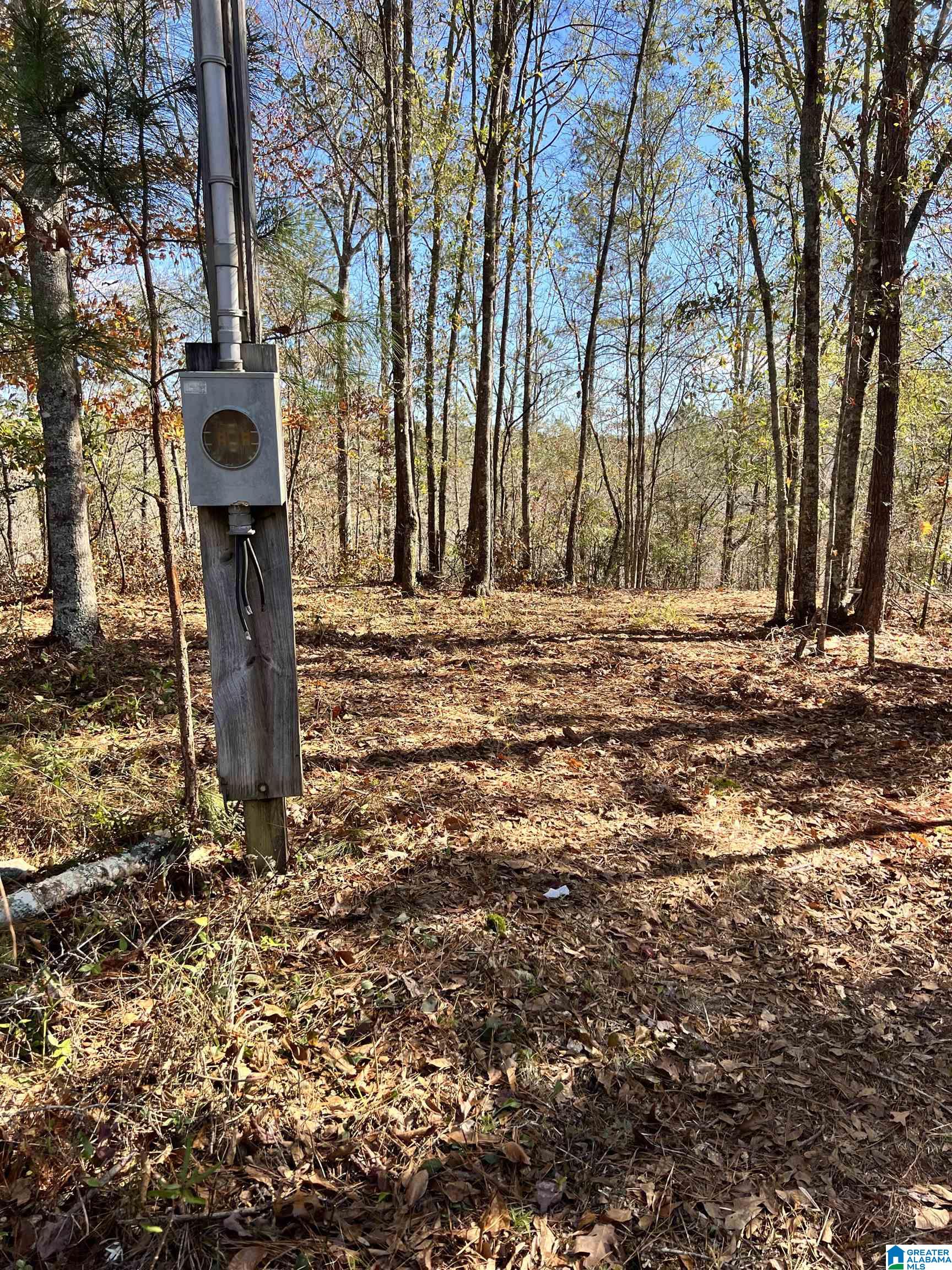 Foster Hills Road, Unit 17 Lineville, AL 36266 - Photo 4 of 4