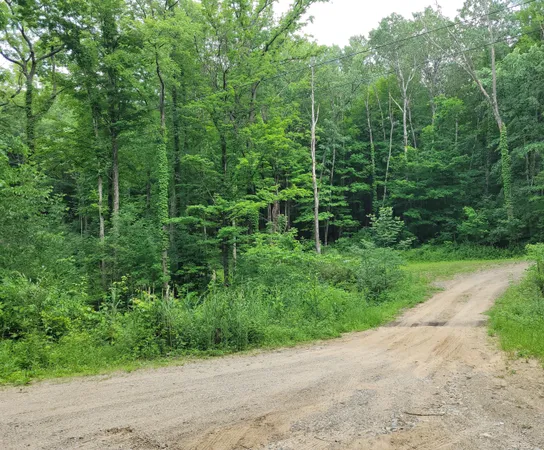 $339,000 | 2996 Court Drive Southeast, Lowell, MI 49331