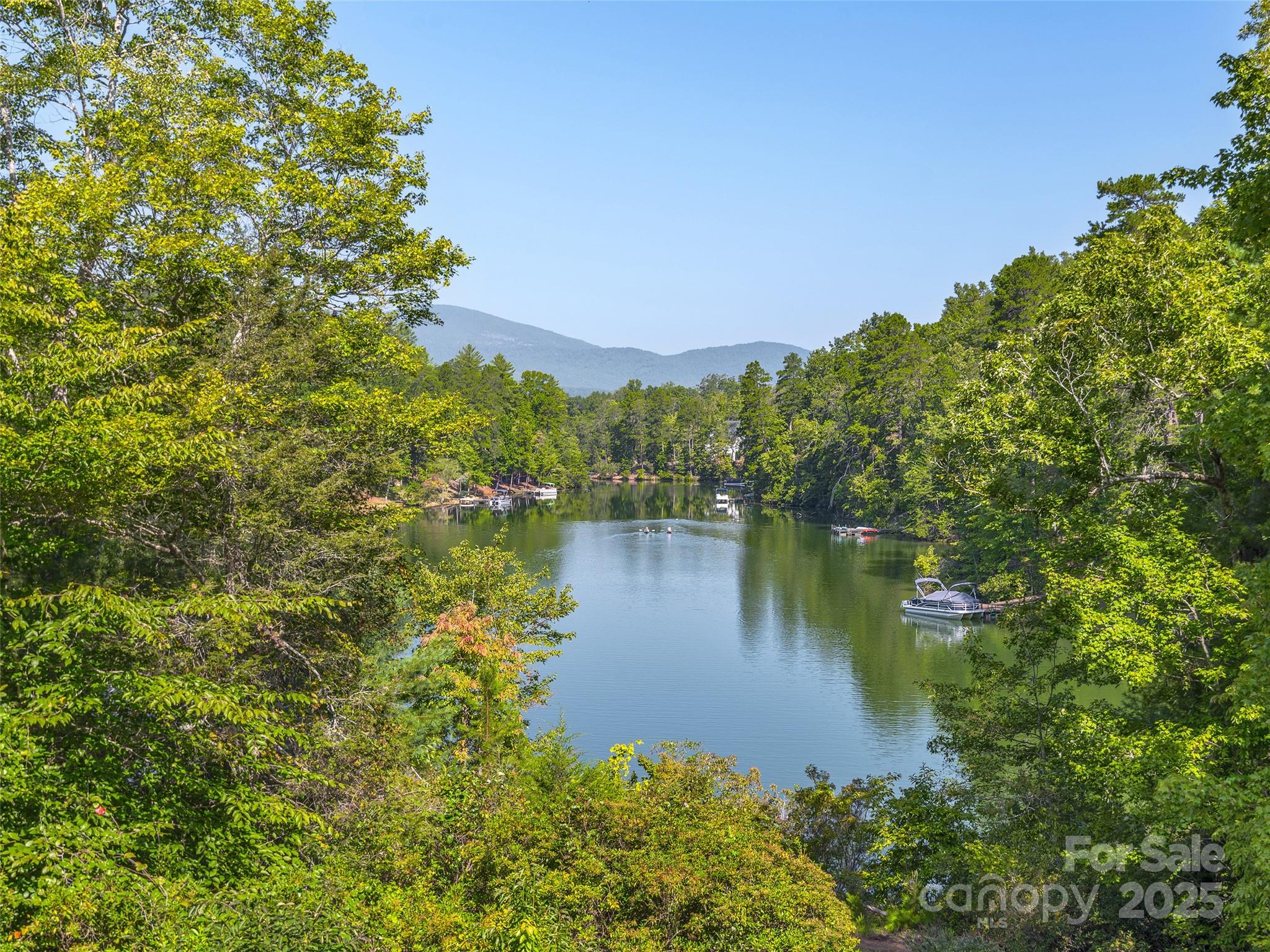 759 South Cove Road Mill Spring, NC 28756 - Photo 12 of 43
