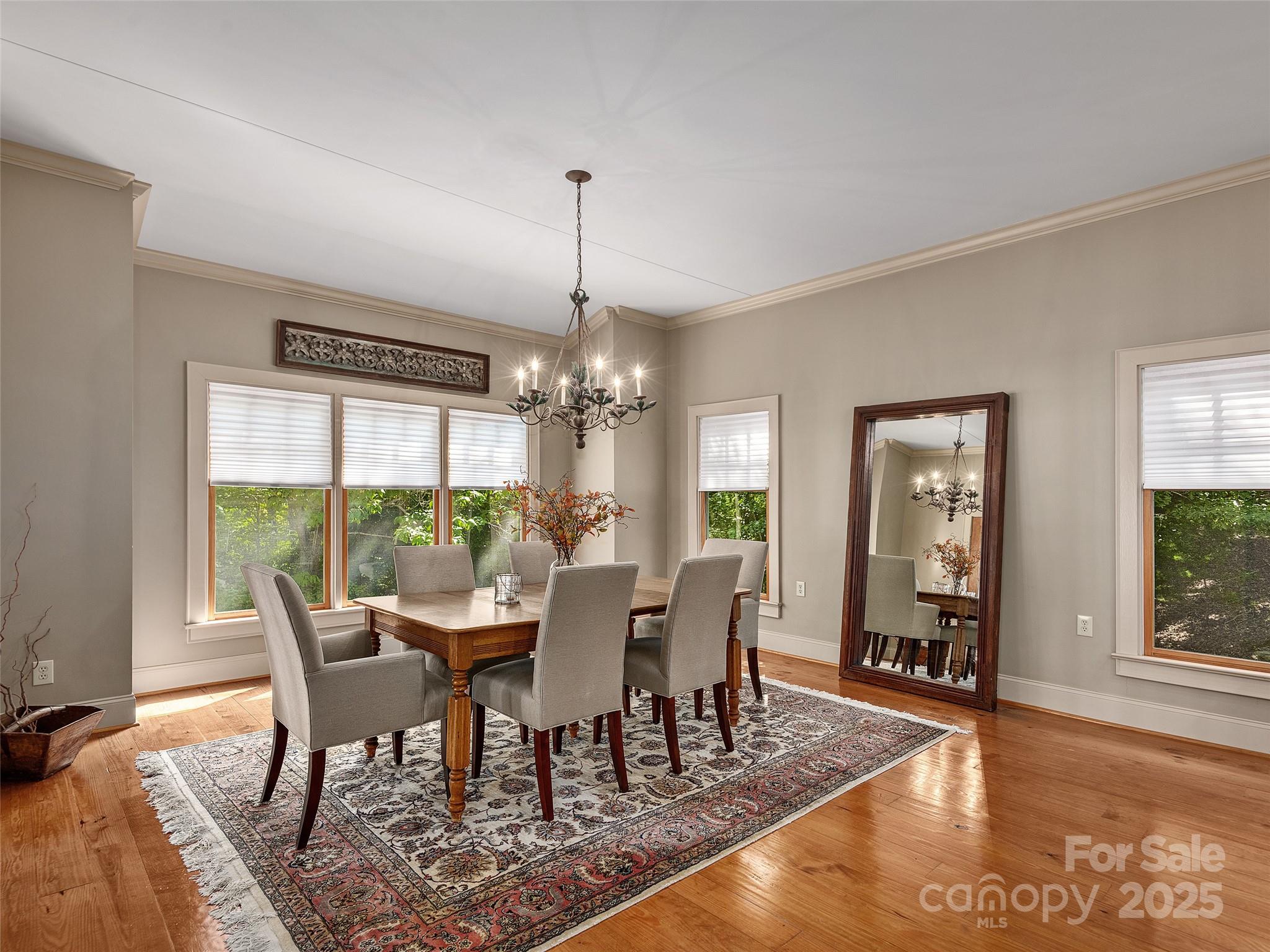 759 South Cove Road Mill Spring, NC 28756 - Photo 19 of 43