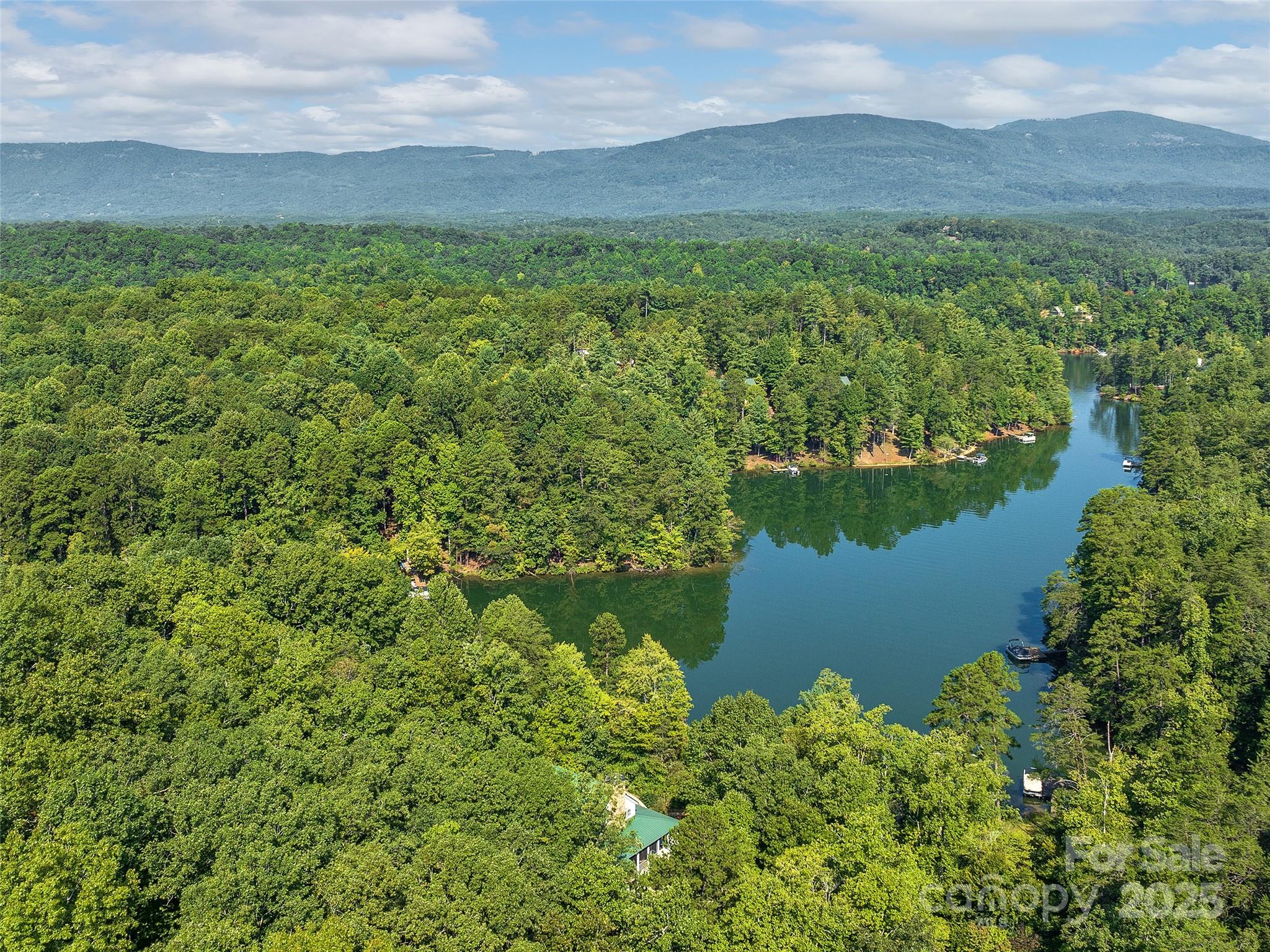 759 South Cove Road Mill Spring, NC 28756 - Photo 42 of 43