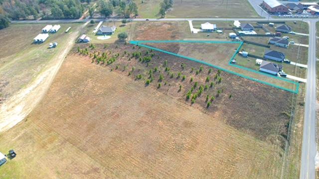 0 Memphis Church Road Dothan, AL 36301 - Photo 2 of 2