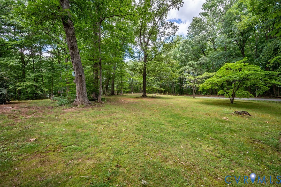 1460 Stokes Station Road Goochland, VA 23063 - Photo 19 of 23