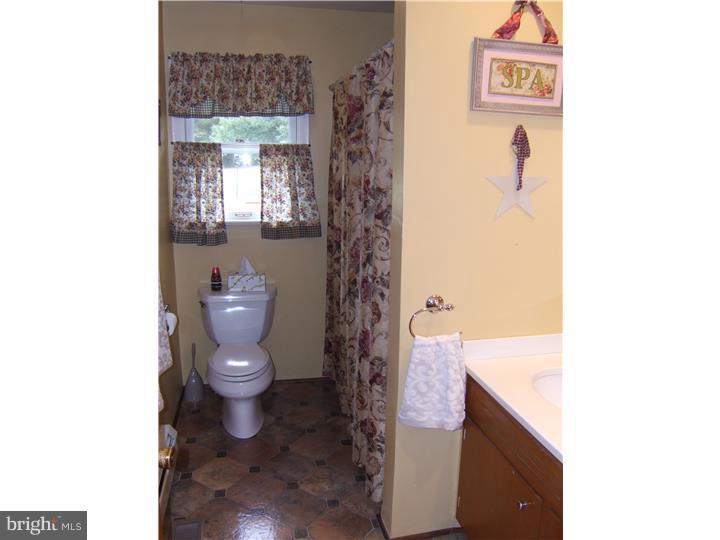 520 Pine Swamp Road Elverson, PA 19520 - Photo 13 of 25 Bathroom