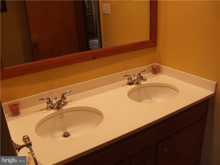 520 Pine Swamp Road Elverson, PA 19520 - Photo 14 of 25 Bathroom