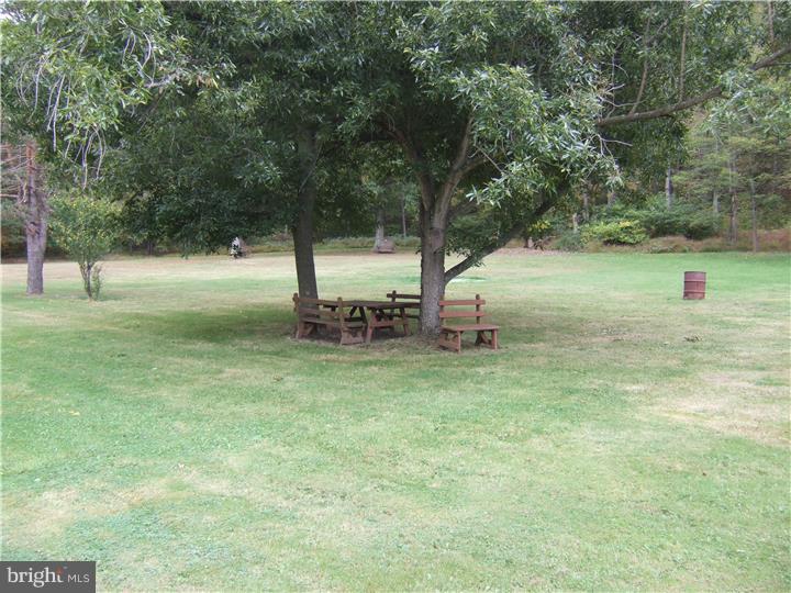 520 Pine Swamp Road Elverson, PA 19520 - Photo 21 of 25 Back Yard