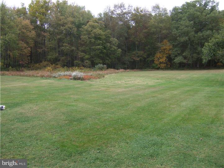520 Pine Swamp Road Elverson, PA 19520 - Photo 22 of 25 Back Yard