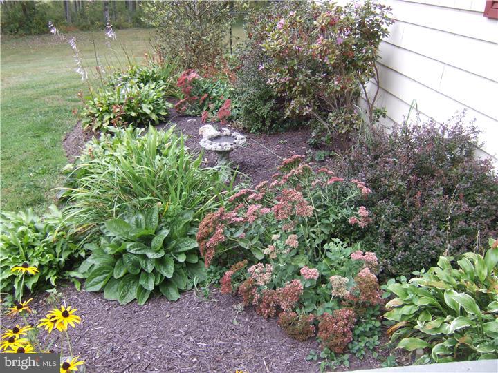 520 Pine Swamp Road Elverson, PA 19520 - Photo 4 of 25 Exterior Front