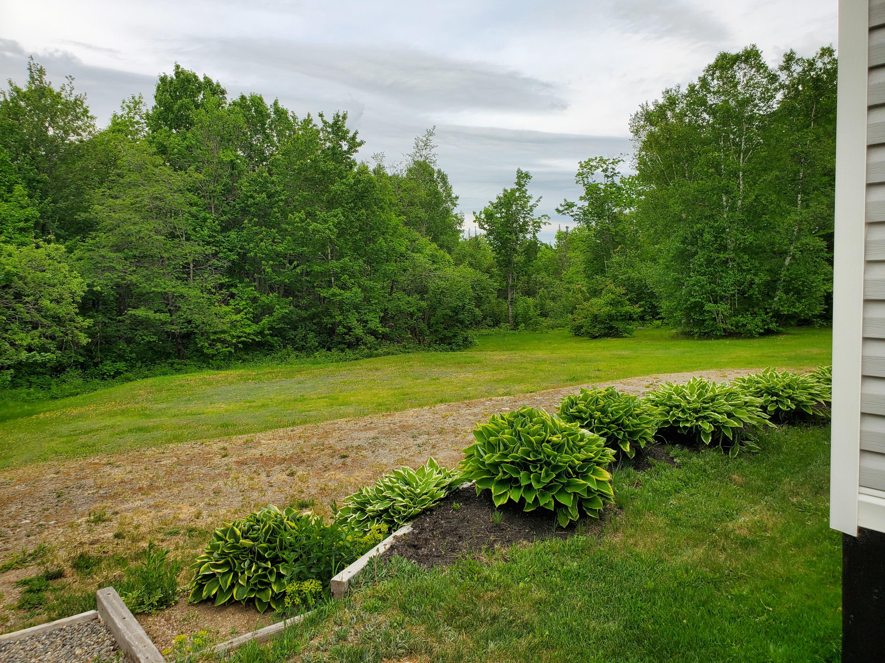 23 Bray Hill Road Phillips, ME 04966 - Photo 29 of 39 20200610_142530