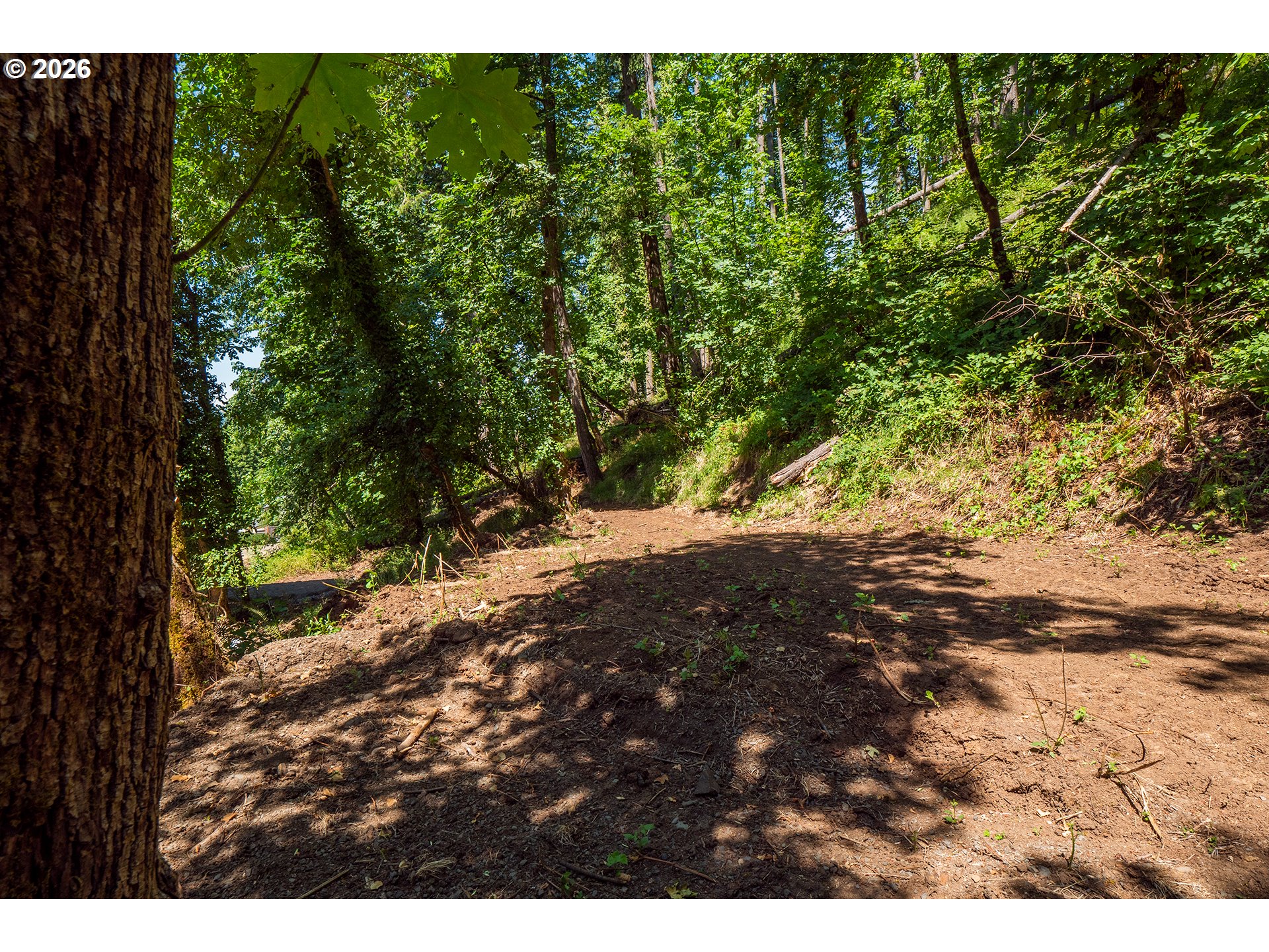 South 70th Street Springfield, OR 97478 - Photo 16 of 28