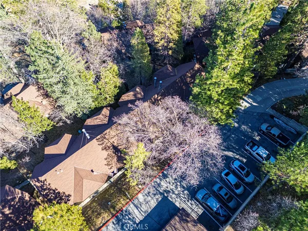 a view of a garden with flowers