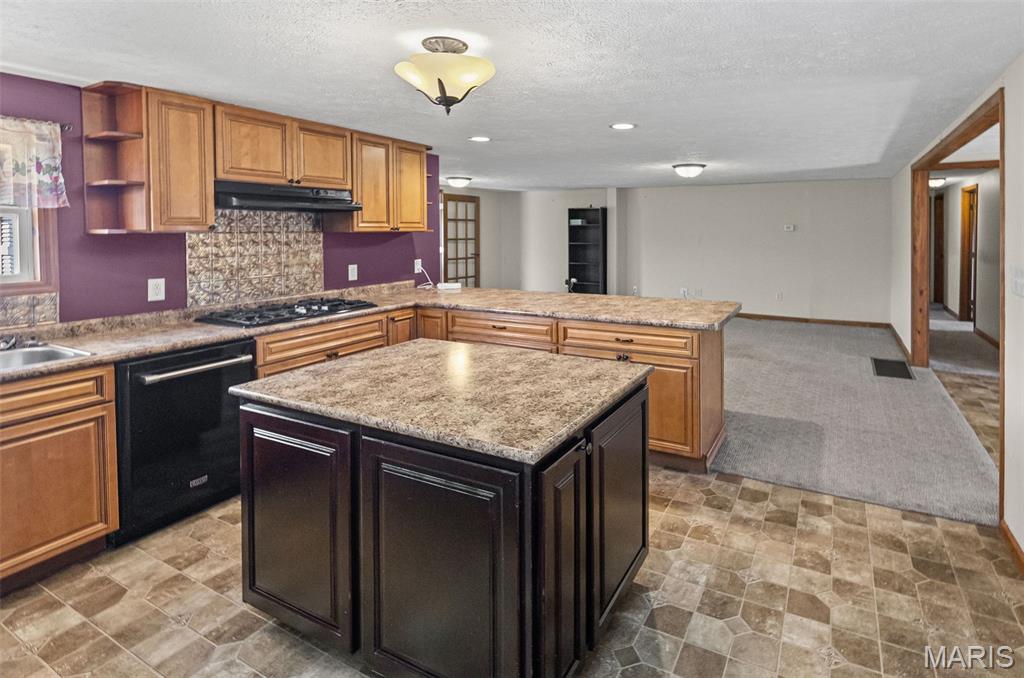 5238 Woodhaven Road Pinckneyville, IL 62274 - Photo 11 of 56