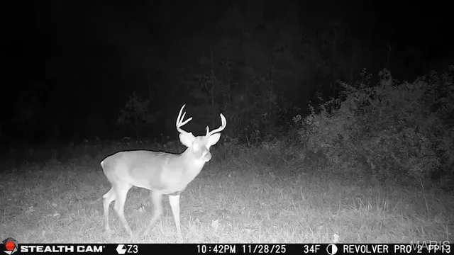 $1,100,000 | 5238 Woodhaven Road, Pinckneyville, IL 62274