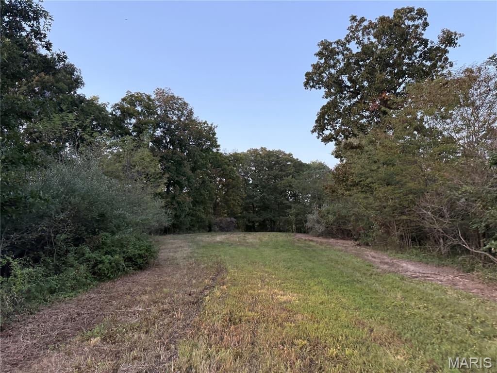 5238 Woodhaven Road Pinckneyville, IL 62274 - Photo 46 of 56