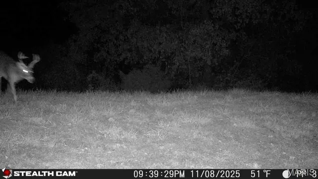 $1,100,000 | 5238 Woodhaven Road, Pinckneyville, IL 62274