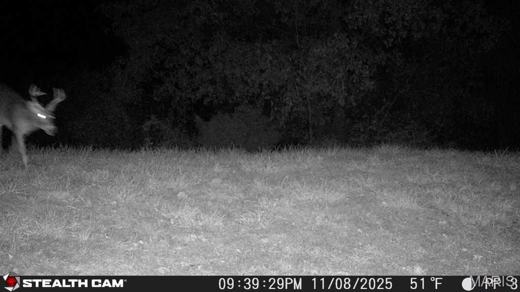 5238 Woodhaven Road Pinckneyville, IL 62274 - Photo 47 of 56