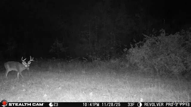 $1,100,000 | 5238 Woodhaven Road, Pinckneyville, IL 62274