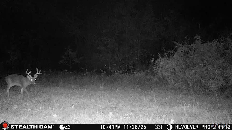 5238 Woodhaven Road Pinckneyville, IL 62274 - Photo 56 of 56