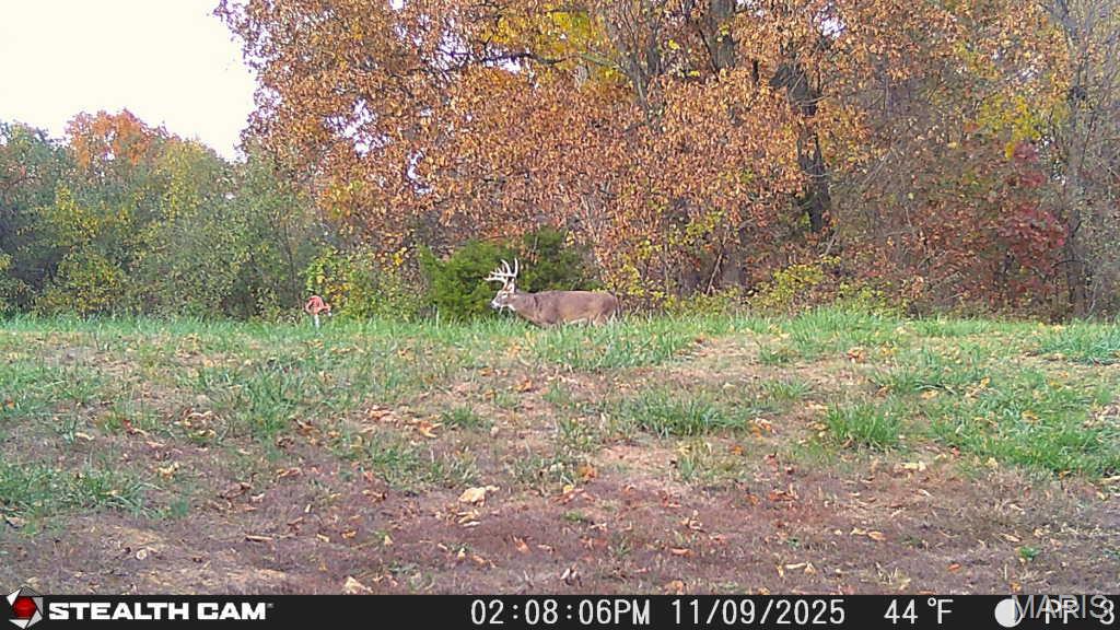 5238 Woodhaven Road Pinckneyville, IL 62274 - Photo 7 of 56