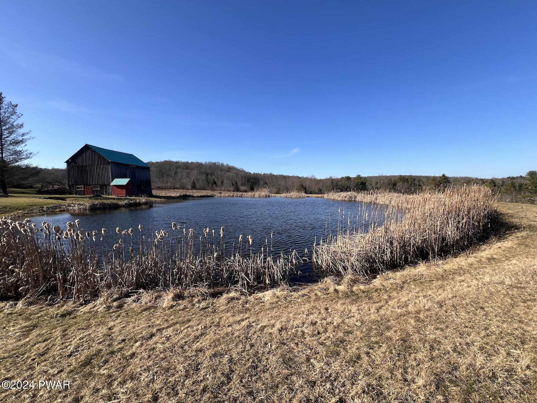 403 Stalker Road Equinunk, PA 18417 - Photo 2 of 15 PRIVATE MOUNTAIN POND