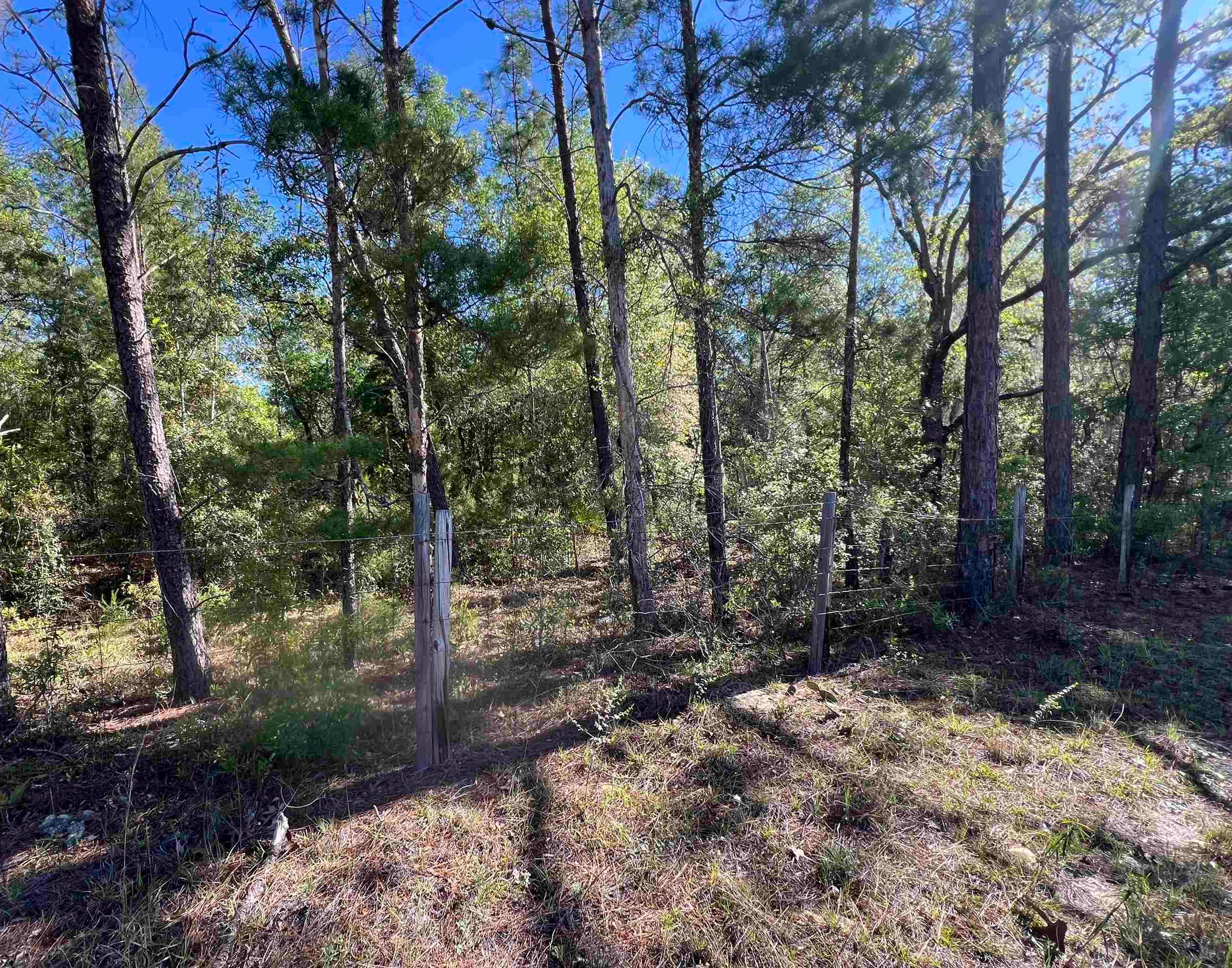 Xx Old Federal Road Quincy, FL 32351 - Photo 1 of 11