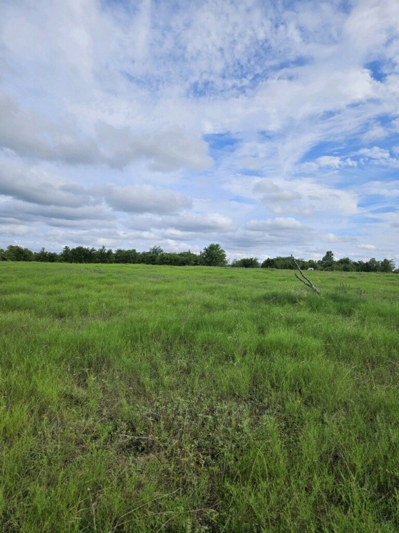 1171 4 Mile Road Riesel, TX 76682 - Photo 4 of 6
