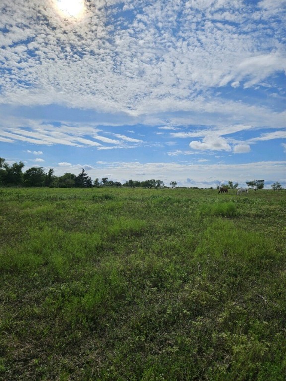 1171 4 Mile Road Riesel, TX 76682 - Photo 5 of 6