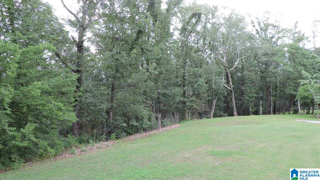 4008 Rock Ridge Road Birmingham, AL 35210 - Photo 8 of 46